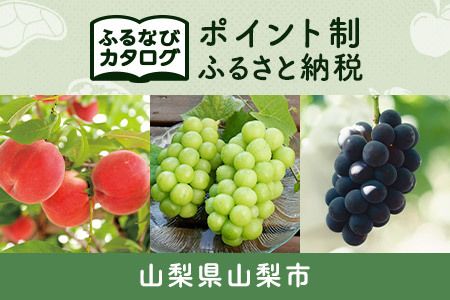 【有効期限なし！後からゆっくり特産品を選べる】山梨県山梨市カタログポイント