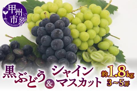 【宿沢フルーツ農園】シャインマスカット＆黒ぶどうの詰合せ 合計約1.8kg(3～5房)【2024年発送】（SF）B18-171