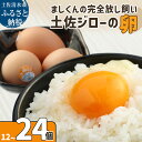 【ふるさと納税】ましくんの完全放し飼い土佐ジローの卵 選べる内容量 12個 24個 もみ殻梱包 ブランド卵 タマゴ 玉子 たまご 生卵 鶏卵 土佐地鶏 濃厚 新鮮 食品 プレゼント ギフト 送料無料 故郷納税 高知県 土佐清水市 送料無料 高知【R00176】
