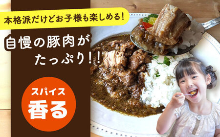 山のウエノ豚のご馳走レトルト・缶詰セット 5種×各2個（計1.46kg）/ おつまみ レトルトカレー 炊き込みご飯 / 大村市 / 株式会社上野養豚[ACBH004]