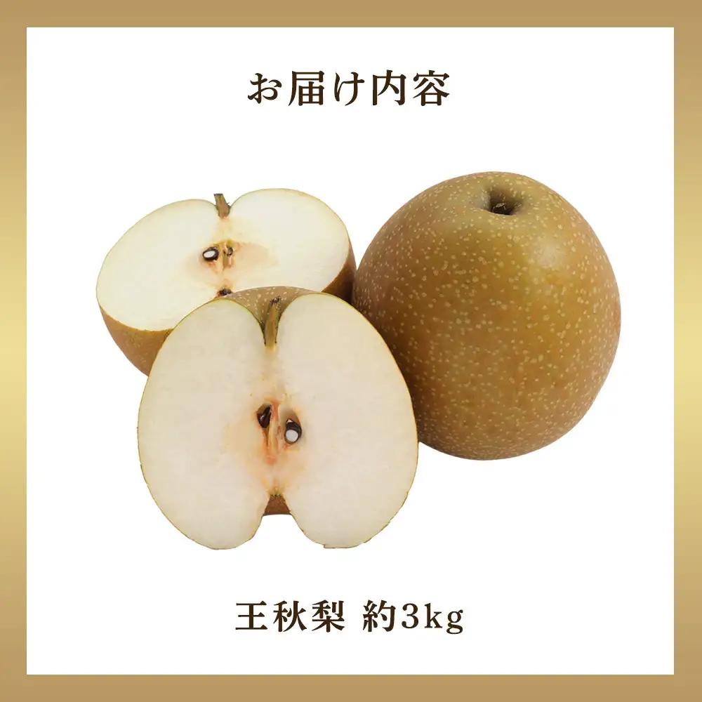梨 王秋梨 3kg 前後 先行予約 ※2026年10月下旬～12月上旬頃に順次発送予定