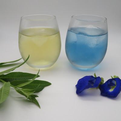 ふるさと納税 池田町 夏秋おすすめハーブティー2種(ティーバッグタイプ/約20杯分) |  | 01