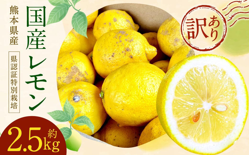 
            国産レモン 訳あり C品 計約2.5kg （県認証特別栽培） 檸檬 れもん レモン 柑橘 【2026年6月上旬迄発送予定】
          