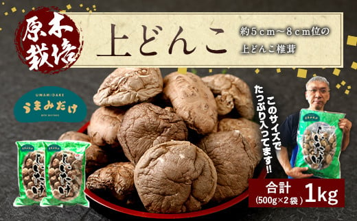 上どんこ 1kg（500g×2袋）椎茸 うまみだけ