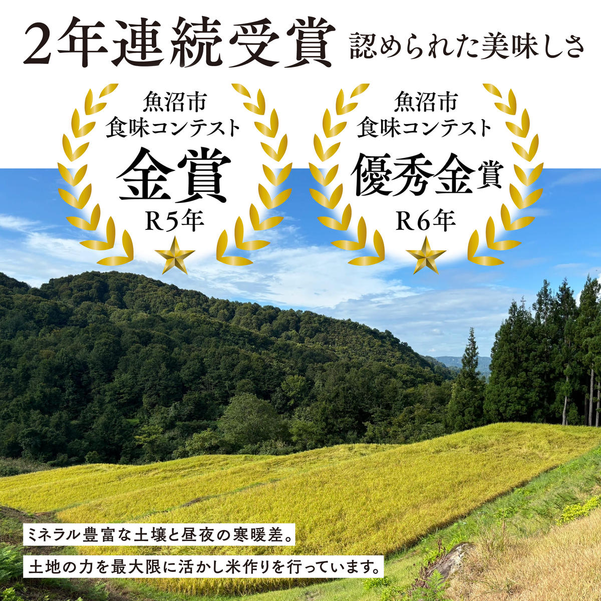 魚沼産コシヒカリ雪の恵（精米）5kg3ヶ月連続お届け 魚沼市 米 こめ コメ お取り寄せ