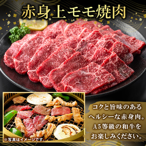K-483-B 鹿児島県産A5等級黒毛和牛赤身上モモ焼肉(計500g)【ふるさと産直バザール】霧島市 牛肉 国産 鹿児島県産 モモ 焼肉 肉 精肉