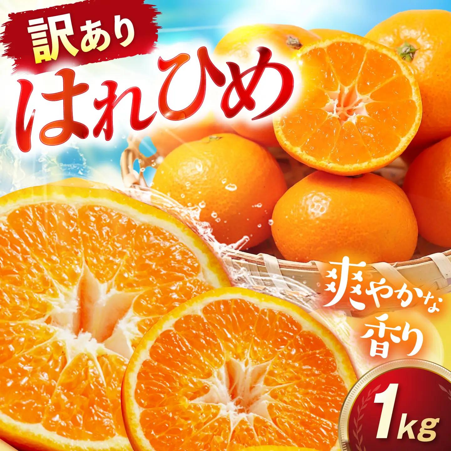 みかん 訳あり はれひめ 約1kg サイズ不揃い【12月上旬から翌年1月上旬まで順次発送】 / フルーツ 果物 蜜柑 ミカン オレンジ 訳あり 訳アリ 小玉 甘い 先行予約 1kg 愛媛 / 愛媛県砥部町/えひめ農園組合[BJAZ018]