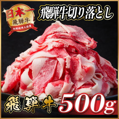 【ふるさと納税】飛騨牛　切り落とし　約500g【配送不可地域：離島】【1531510】