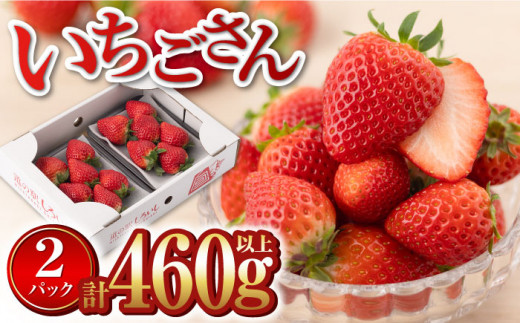 【先行予約】【産地直送】白石産いちご「いちごさん」 約230g×2パック（計460g以上）【道の駅しろいしカンパニー】 [IAA037]