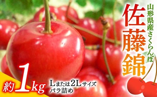 《先行予約 令和7年度産》さくらんぼ佐藤錦 L又は2Lサイズ 1kg バラ詰め FSY-0181