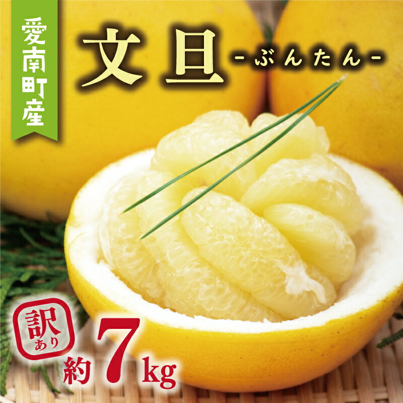 【ふるさと納税】 訳あり 文旦 7kg 8000円 ぶんたん みかん mikan 蜜柑 ミカン わけあり 家庭用 産地直送 国産 農家直送 期間限定 数量限定 特産品 人気 限定 フルーツ 果物 柑橘 小玉 含む サイズ ミックス 傷み補償 500g ミッチーのおみかん畑 愛南町 愛媛県