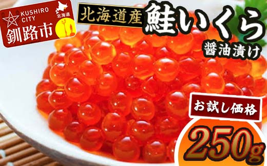 
《 お試し価格 数量限定 》北海道産 鮭 いくら 醤油漬け 250g 北海道 釧路 ふるさと納税 いくら イクラ 丼 ごはんのお供 魚介類 海鮮 魚卵 海産物 F4F-1608
