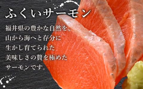 【定期便3回コース】ふくいサーモン（刺身用）真空冷凍　350g（175g × 2パック） × 3回 合計1.05kg