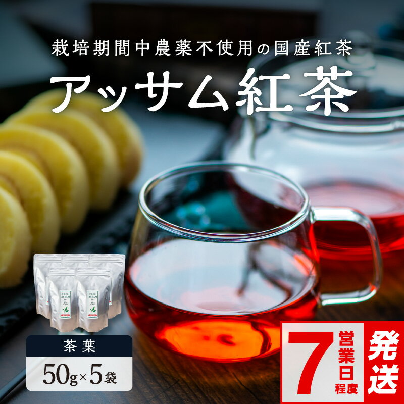 【ふるさと納税】〈 ご入金確認から7営業日程度で発送！ 〉アッサムTea21 紅茶 アッサムティー 茶葉 50g×5個 │紅茶 茶葉 和紅茶 アッサム アッサム紅茶 アッサム茶 アッサムティー 国産 国産紅茶 自然発酵