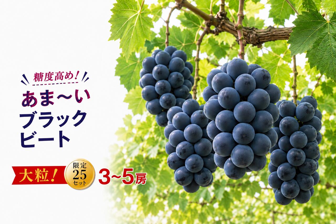 【ふるさと納税】 ブラックビート 3〜5房 約2kg 甘い 贈答 ギフト ぶどう フルーツ 果物 数量限定 送料無料 産地直送 【2026年発送】