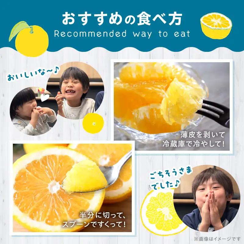 S040-023A_農家の手摘みあまくさ木成り晩柑 約7.5kg 先行受付