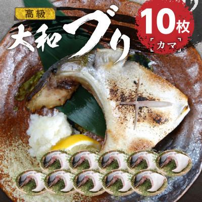 ふるさと納税 延岡市 大和ブリのカマ10枚セット