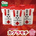 【ふるさと納税】長〜く伸びる高級もち米 福井県 坂井市 三国町産カグラモチ 2kg × 3袋 計6kg