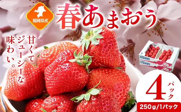 福岡県産 春あまおう 4パック(250g/1パック) 南国フルーツ株式会社《2027年2月上旬-2027年3月末頃出荷》【配送不可地域あり】
