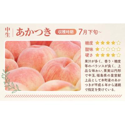 ふるさと納税 桑折町 もも【あかつき・2026年産先行受付】特秀約3kg「献上桃の郷ブランド品」桑折町産　JAふくしま未来