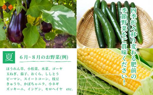 画像はイメージです。お届けする野菜の種類は季節に応じて変わります。