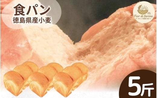 食パン 5斤 パン 天然酵母 国産 小麦 卵 牛乳 朝食 昼食 ランチ 間食 おやつ お取り寄せ グルメ 冷蔵 送料無料 徳島県 阿波市 フィオーレデファリーナ