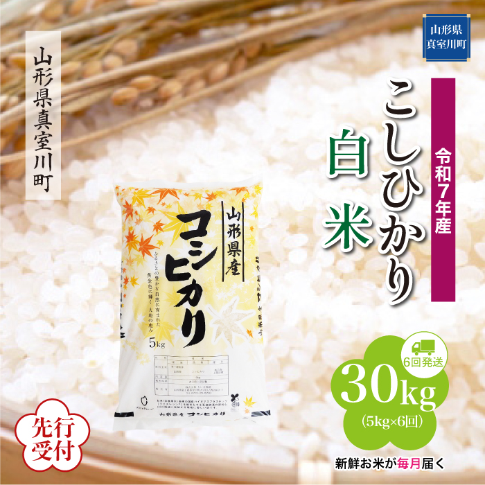 ＜令和7年産米先行受付＞ 真室川町産 こしひかり 【白米】30kg定期便 (5kg×6回)　配送時期指定できます！