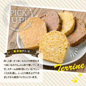 a1055-E 【6回定期便】＜保存料・着色料 不使用＞愛犬用無添加牛テリーヌ6袋×6回(1袋約100g・合計約3.6kg)【Nフードサービス】姶良市 牛 テリーヌ 犬 ドッグ ペット フード エサ 