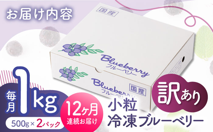 【12回定期便】【訳あり】 冷凍ブルーベリー 小粒 1kg（500g×2pc） 【すみれファーム】 [ZEP054]