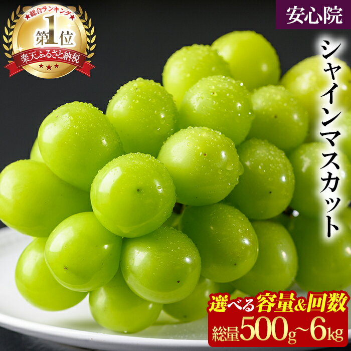 【ふるさと納税】シャインマスカット 1房/2房/3~5房(500g/1kg/2kg×1回・3回) ＜先行予約受付中！2025年8月下旬より順次発送予定＞大粒 シャイン マスカット 定期便【106300800・106300101・106300501・206300500・206300100・206300300】【大分県農業協同組合 北部エリア】