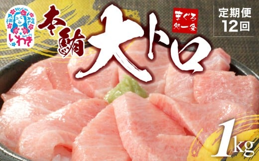 【定期便/計12回】本マグロ大トロずっしり1kg（計12kg）|本マグロ 大トロ ＆ 中トロ ネギトロ づけ  中とろ 海鮮丼 や 手巻き寿し