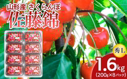 山形産 さくらんぼ 佐藤錦 L 1.6kg(200g×8パック) 【令和7年産先行予約】FS24-504くだもの 果物 フルーツ 山形 山形県 山形市 2025年産