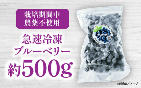 青い宝石 国産 急速冷凍ブルーベリー 約500g 果物 くだもの フルーツ ぶるーべりー 熊本県 菊陽町【アグファーム株式会社】[BHCX004]