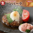 【ふるさと納税】数量限定 8個増量 こだわり手作り生ハンバーグ 100g×20個 計2kg セット 牛 牛肉 馬肉 手造り 惣菜 九州産 冷凍 送料無料