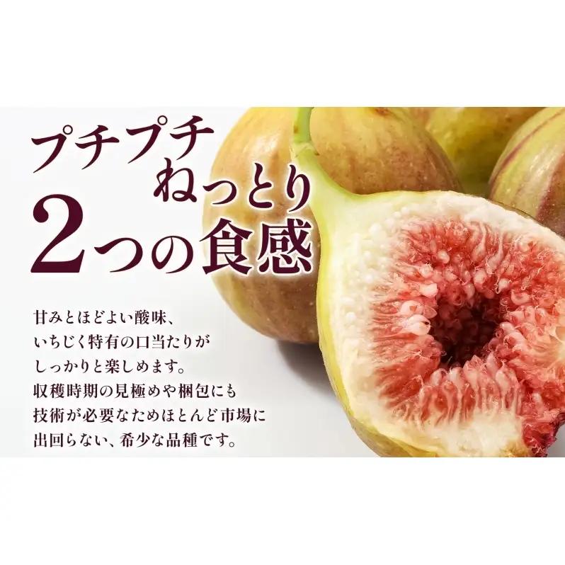 数量限定 いちじく 蓬莱柿 ほうらいし 約1kg 8粒～12粒 朝穫れ 果物 フルーツ 無花果 イチジク 愛知県産 デザート おやつ 食後 朝採り 産地直送 お取り寄せ 送料無料 名古屋西青果 愛知県