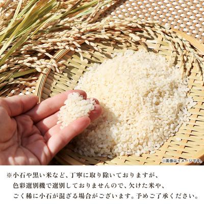 ふるさと納税 西予市 <令和8年産 愛媛県西予市産 コシヒカリ 3kg>国産 愛媛県産 宇和町産 |  | 03