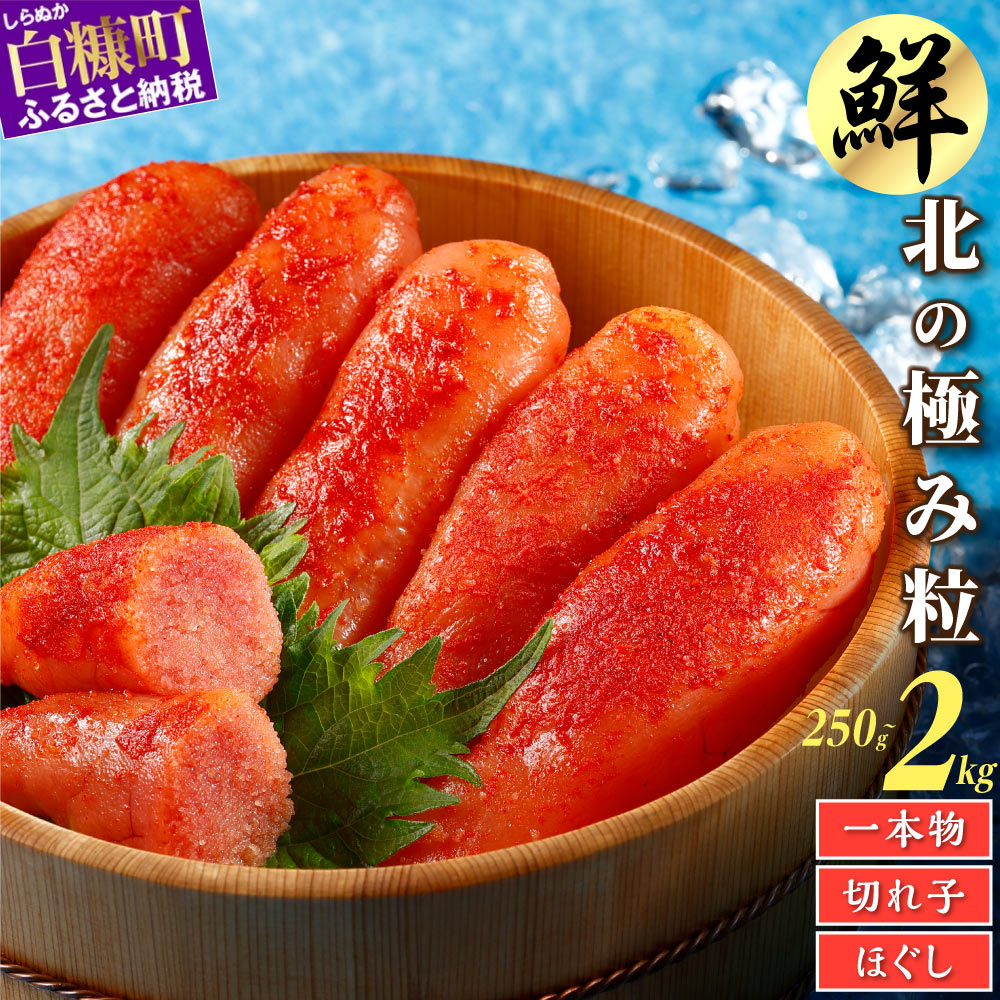 【ふるさと納税】高評価 4.80 明太子 辛子明太子 250g〜2kg 選べる ほぐし明太子 / 切子 / 一本物 ふるさと納税 明太子 訳あり 切れ子 真子 明太子チューブ (キャップ付き) バラコ 明太 めんたいこ チューブ 小分け 大容量 冷凍 海鮮 北海道 白糠町 人気 グルメ ランキング