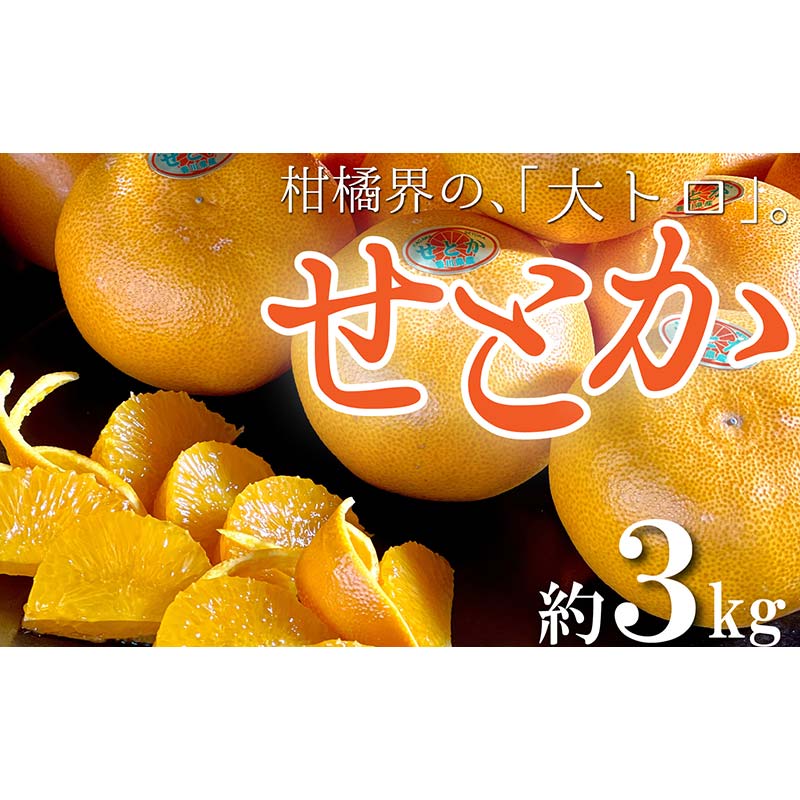 【ふるさと納税】柑橘界の大トロ！三豊市の「せとか」 約3kg FAH-0020