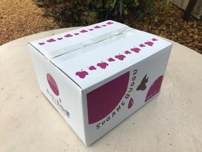 山口県産　種なしピオーネ1.2Kg（2～3房）