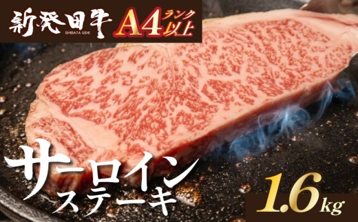 【新潟の宝】サーロイン ステーキ 牛肉 1.6kg にいがた和牛 和牛 新発田牛 赤身 焼肉 ふるさと納税 和牛 BBQ キャンプ 特選 贅沢 厳選和牛 ブランド牛 ギフト 贈答 お歳暮 父の日 新潟 新潟県 新潟産 新発田 新発田市 新発田産 えのもとミート