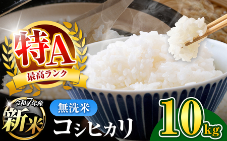 新米 無洗米 令和7年産 千葉県産 コシヒカリ 10kg 【 10月上旬以降発送 】 | コメ こめ お米 白米 ふっくら もちもち こしひかり おにぎり お弁当 千葉ふるさと蔵 イチオシ 千葉県 君津市 きみつ