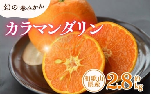 カラマンダリン 約2.8kg/サイズおまかせ　※2026年4月上旬～2026年5月上旬頃に順次発送予定(お届け日指定不可)　紀伊国屋文左衛門本舗 / みかん 果物 オレンジ フルーツ 柑橘 和歌山【sutb471B】