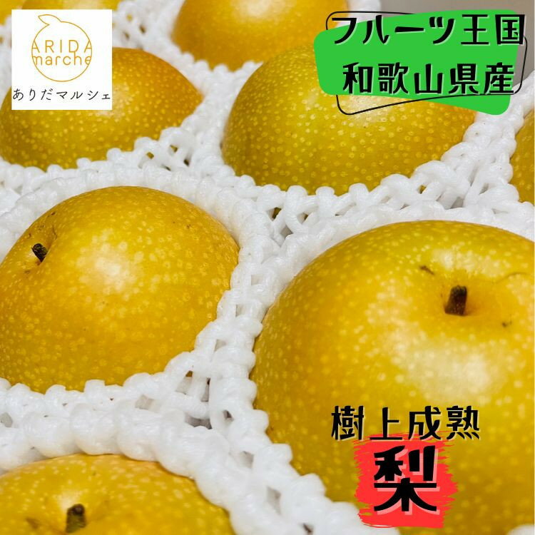 【ふるさと納税】和歌山の樹上成熟梨 約2kg（6～8玉）or 約4kg（12～15玉） ※2026年8月上旬～9月中旬頃発送予定| 先行予約 果物 フルーツ 甘い［MS103］ | 梨 フルーツ 果物 くだもの 食品 人気 おすすめ 産地直送 送料無料