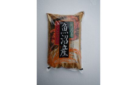 令和7年度産【十日町産】 魚沼産コシヒカリ5kg 米 お米 こしひかり 精米 新潟 