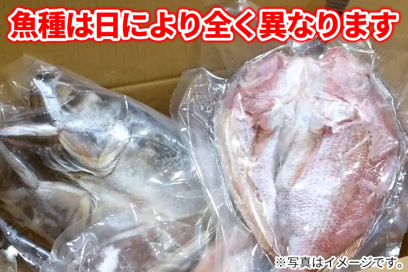 干物の玉手箱 5～6枚 [魚 鮮魚 干物 おかず おつまみ 食べ比べ セット おまかせ 冷凍 贈答 秋田]