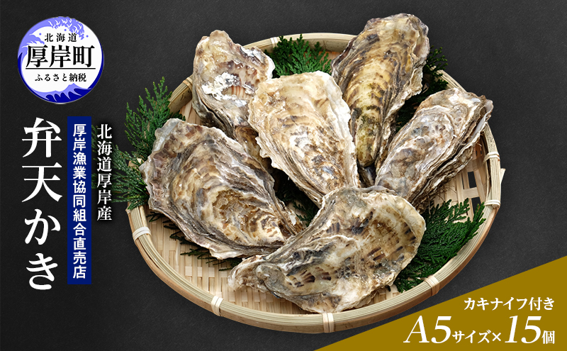 【2月から3月配送】北海道 厚岸産 殻かき 新ブランド弁天かき A5サイズ 特大サイズ 15個 牡蠣 魚貝類 生牡蠣 殻付き牡蠣 カキ