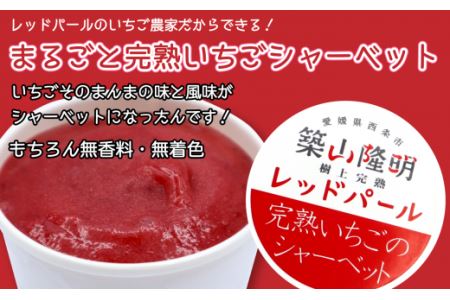 いちご農家のアイス＆シャーベットセット（完熟いちごの豆乳アイス3個・完熟いちごのシャーベット3個）