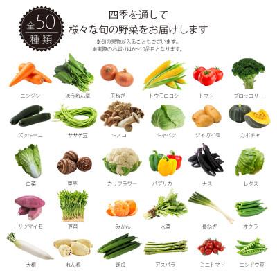 ふるさと納税 飯塚市 プロにおまかせ　筑前のお野菜ボックス6〜10種類【お野菜の詰め合わせ100サイズ】【福岡県飯塚市】 |  | 03