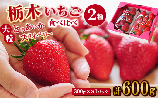 豪華!栃木イチゴ2種(スカイベリー・とちあいか)大粒 食べ比べセット(300g×2パック)_ いちご 苺 果物 フルーツ くだもの スカイベリー とちあいか 大粒 食べ比べ セット 人気 おすすめ 送料無料 贈答 ギフト 【1366974】
