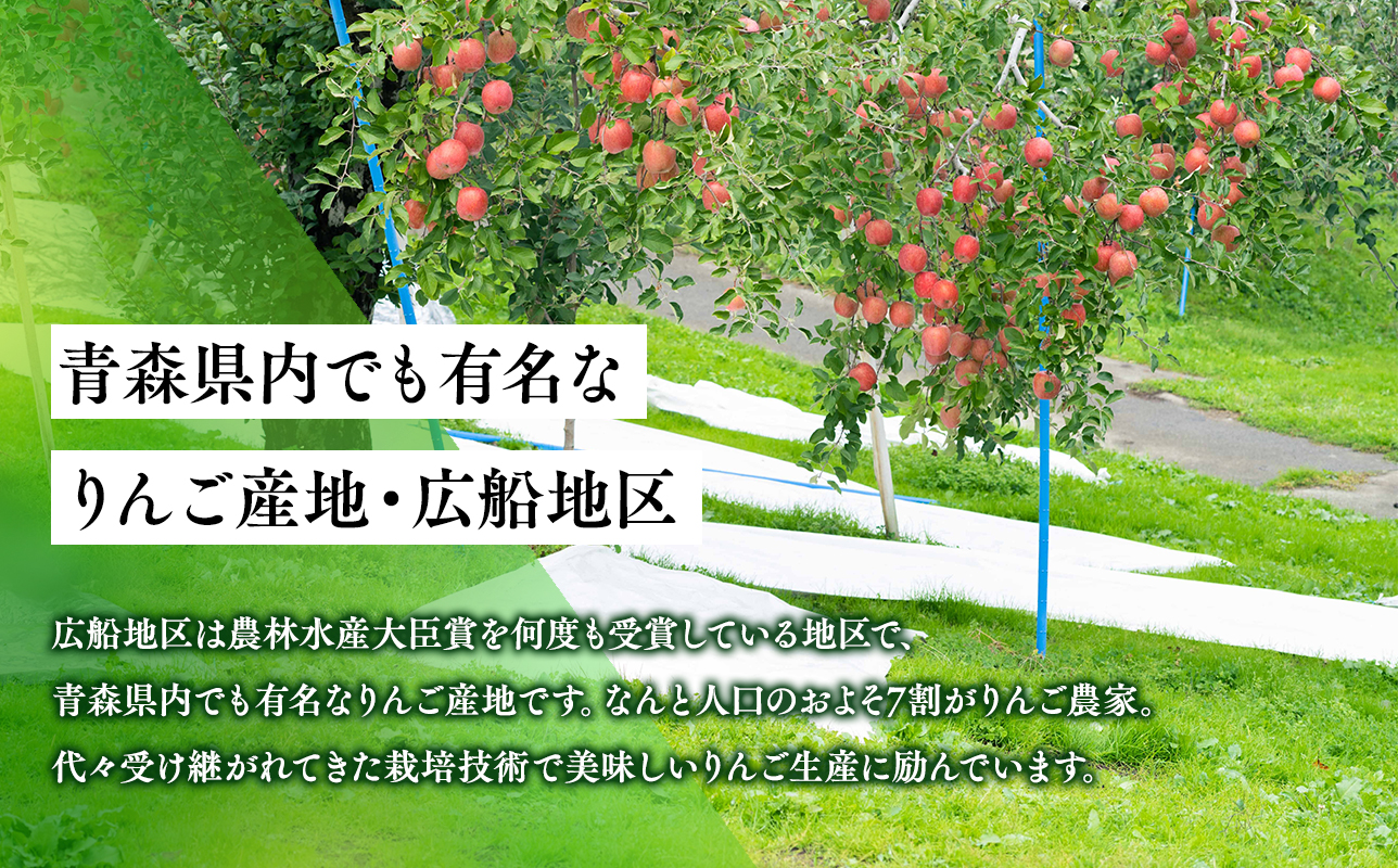 年内 贈答規格 広船の大玉金星約3kg「特A」【広船アップルクラブ　平川市広船産　青森りんご　12月】